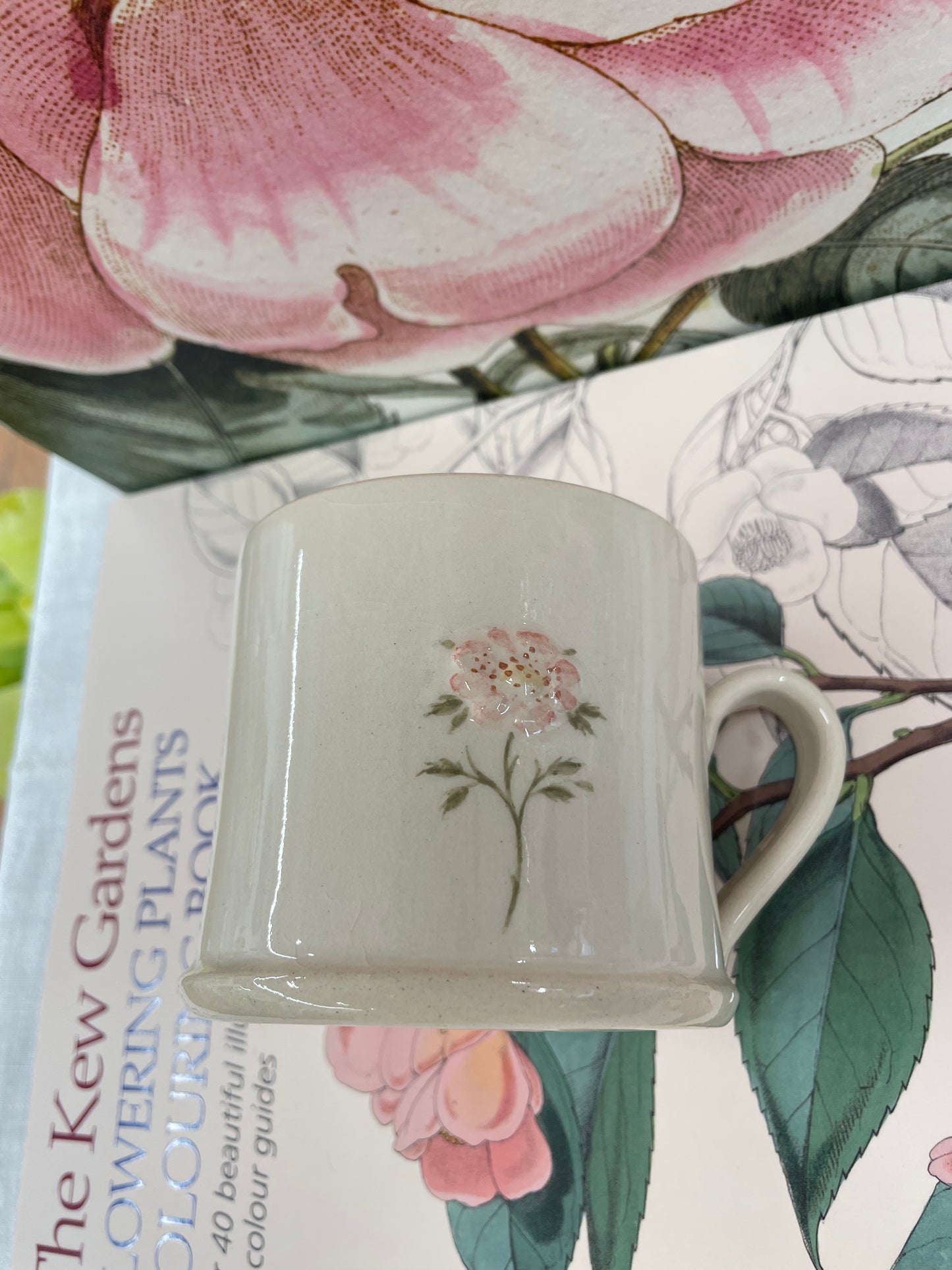 Hogben Mug - Dog Rose (SECONDS)