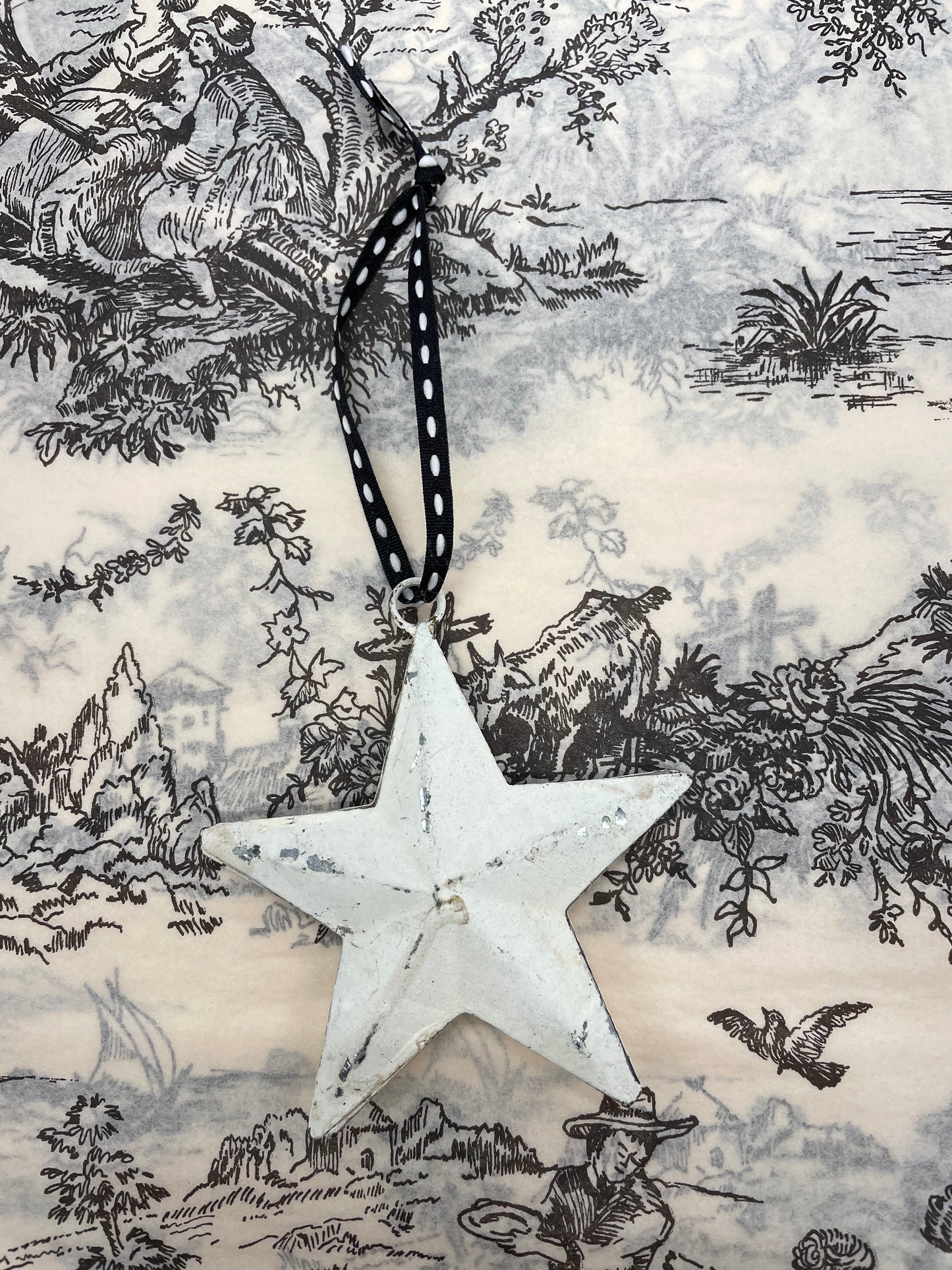 Jeanne d'Arc Living Christmas Star