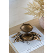 Crab Decorative Box with  Lid