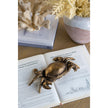 Crab Decorative Box with  Lid