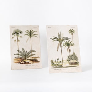 Palm Print on Wooden Stand