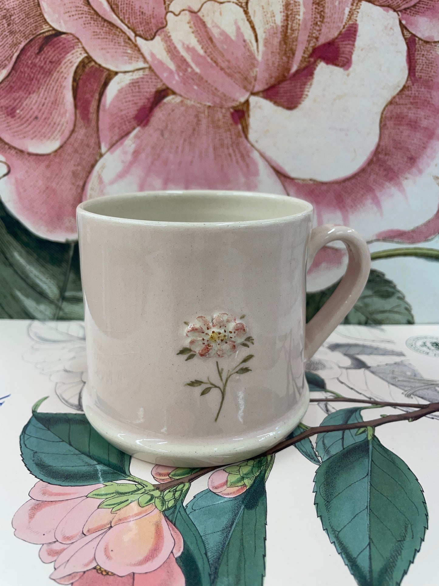Hogben Mug - Dog Rose (SECONDS)