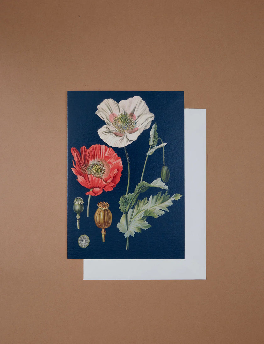 Madame Treacle Cards