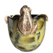 Hanging Frog