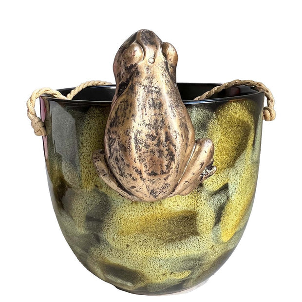 Hanging Frog