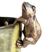 Hanging Frog