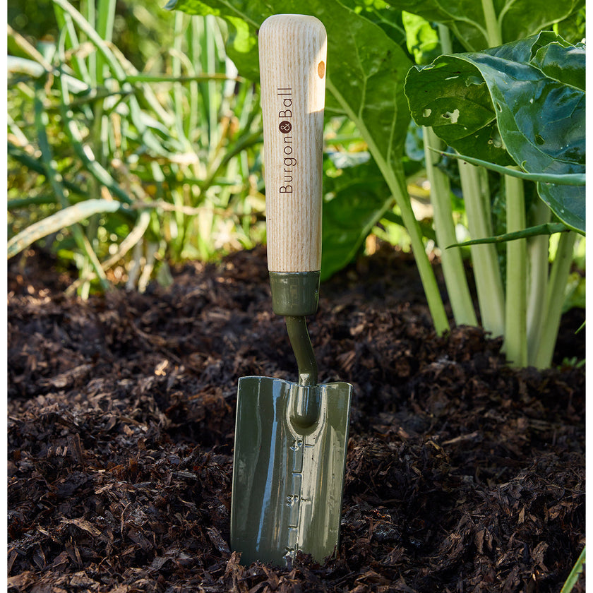 Burgon & Ball RHS BoronGreen Transplanter