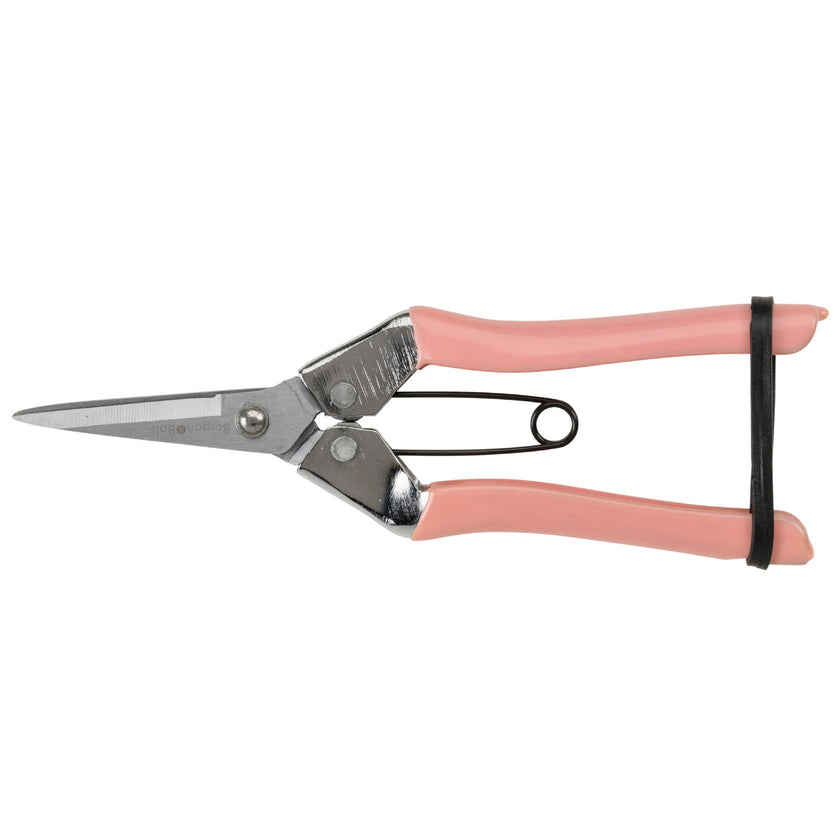 Burgon & Ball Collectors Fruit & Flower Snips - Blush