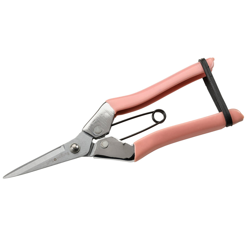 Burgon & Ball Collectors Fruit & Flower Snips - Blush