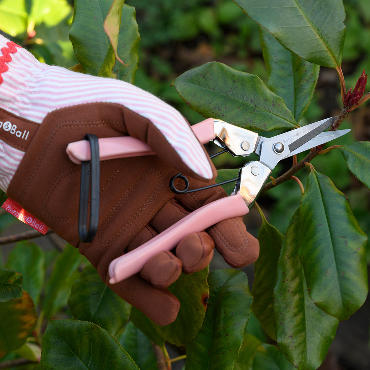 Burgon & Ball Collectors Fruit & Flower Snips - Blush