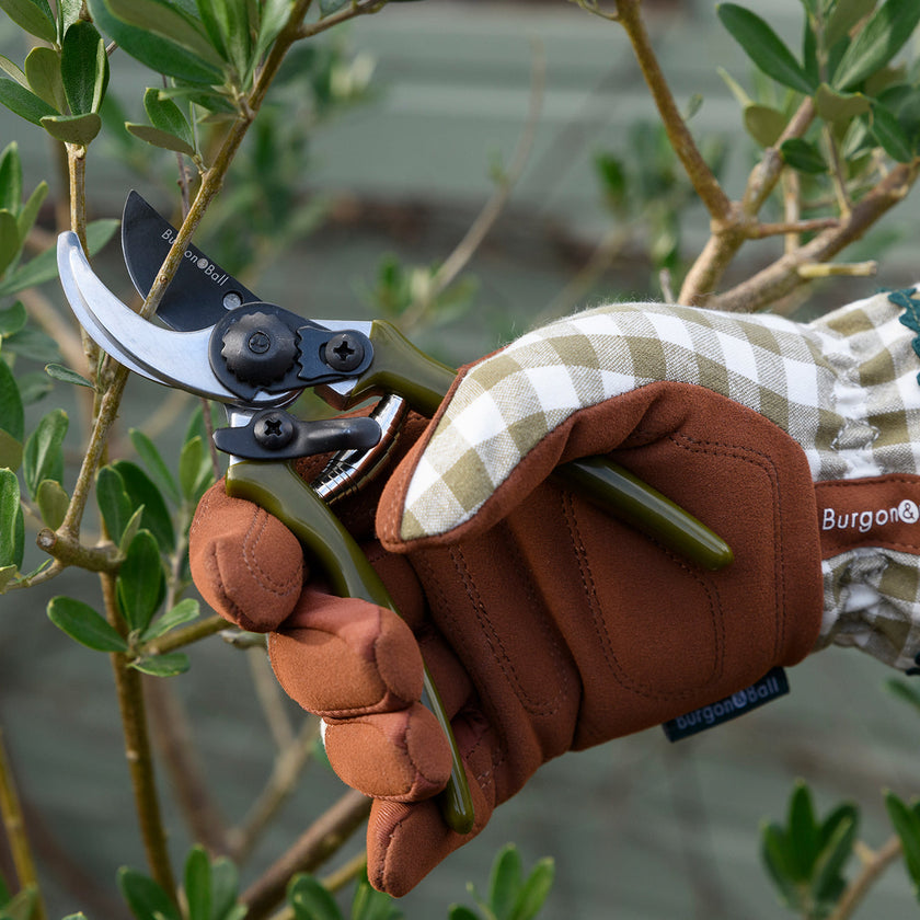 Burgon & Ball Collectors Micro Secateurs - Olive