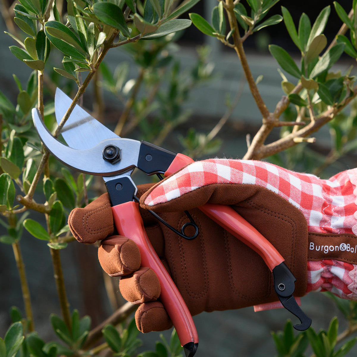 Burgon & Ball Collectors Bypass Secateurs - Red