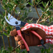 Burgon & Ball Collectors Bypass Secateurs - Red