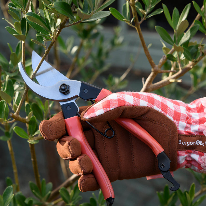 Burgon & Ball Collectors Bypass Secateurs - Red