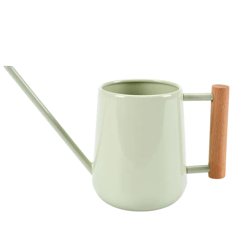 Indoor Watering can- Pale Jade