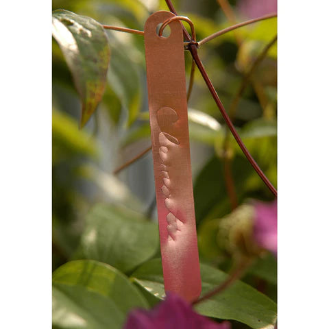Burgon & Ball Copper Tags
