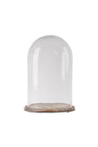 Glass Dome Cloche on Oval Iron Base