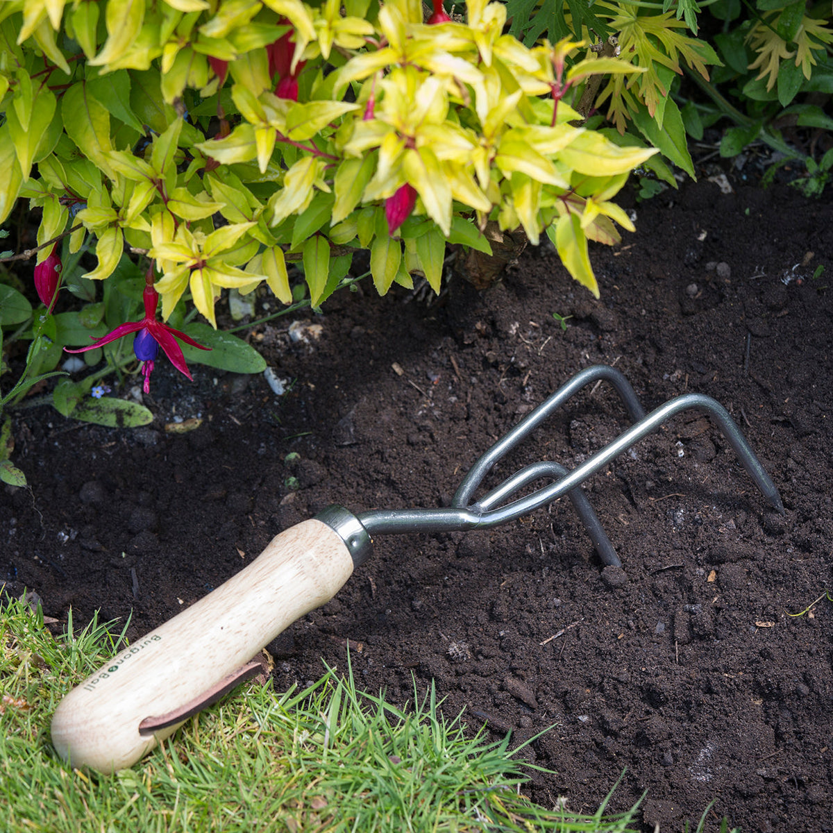 Burgon & Ball RHS Stainless Claw Cultivator