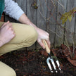 Burgon & Ball RHS Stainless Hand Fork