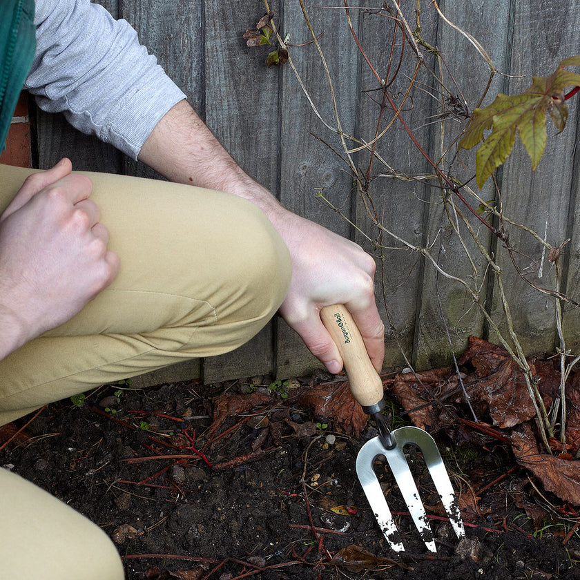 Burgon & Ball RHS Stainless Hand Fork