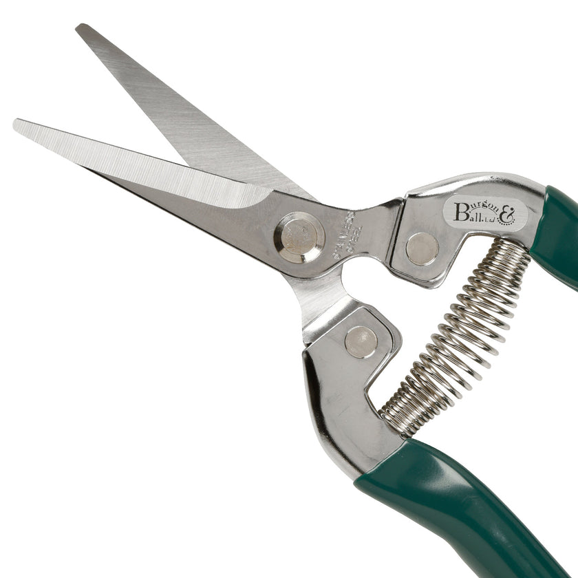 Burgon & Ball RHS Flower & Fruit Snip