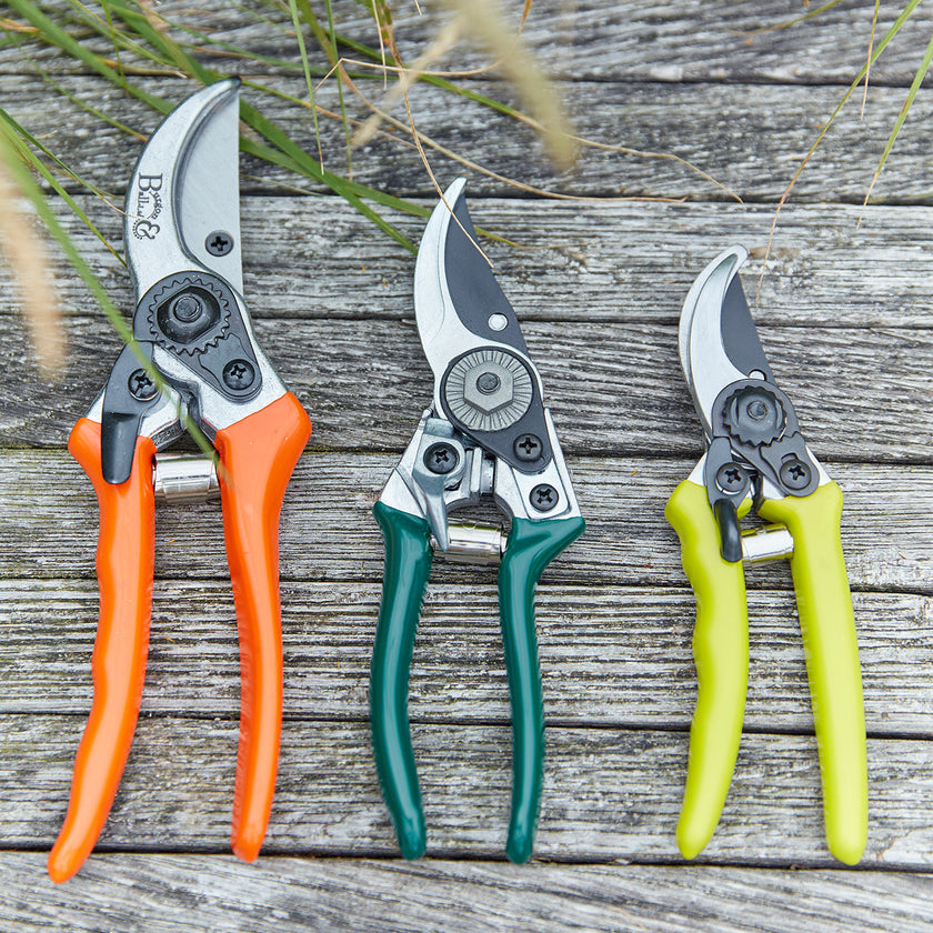 Burgon & Ball RHS Bypass Secateurs