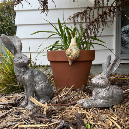 Country Hare Junior Grey-Standing or Resting