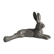 Country Hare Junior Grey-Standing or Resting