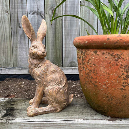 Earth Brown 
Country Hare Junior ~ Standing or Resting