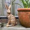 Earth Brown 
Country Hare Junior ~ Standing or Resting