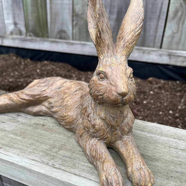 Earth Brown 
Country Hare Junior ~ Standing or Resting