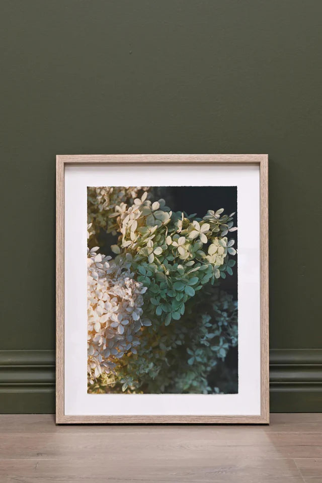 Hydrangeas Framed Wall Art