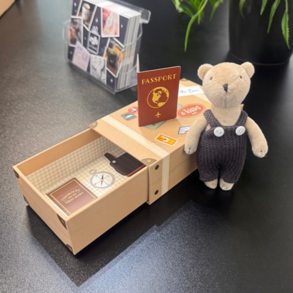 Wild Wanderers Toy in Box