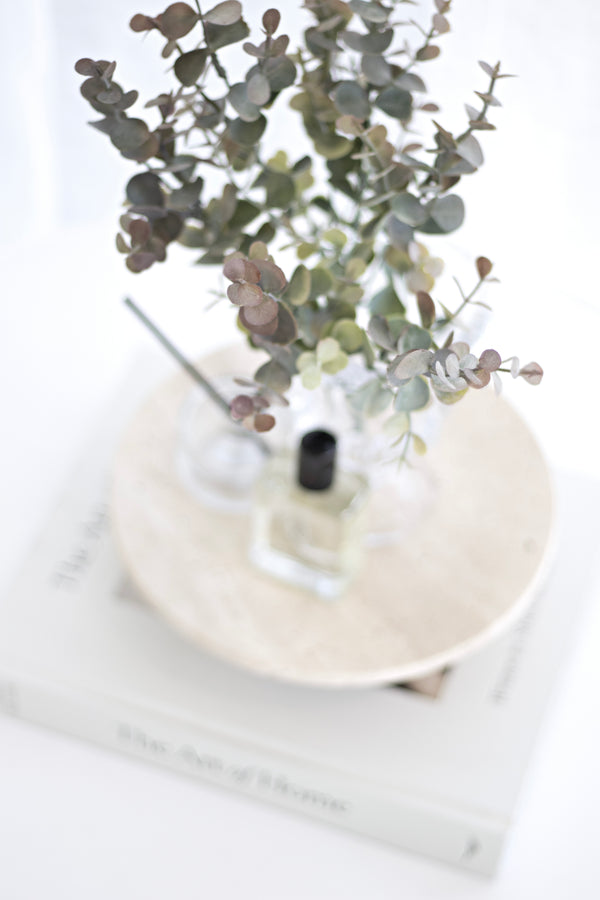Mini Eucalyptus Bush 33cm