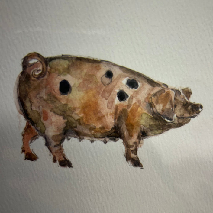 Hogben Cards