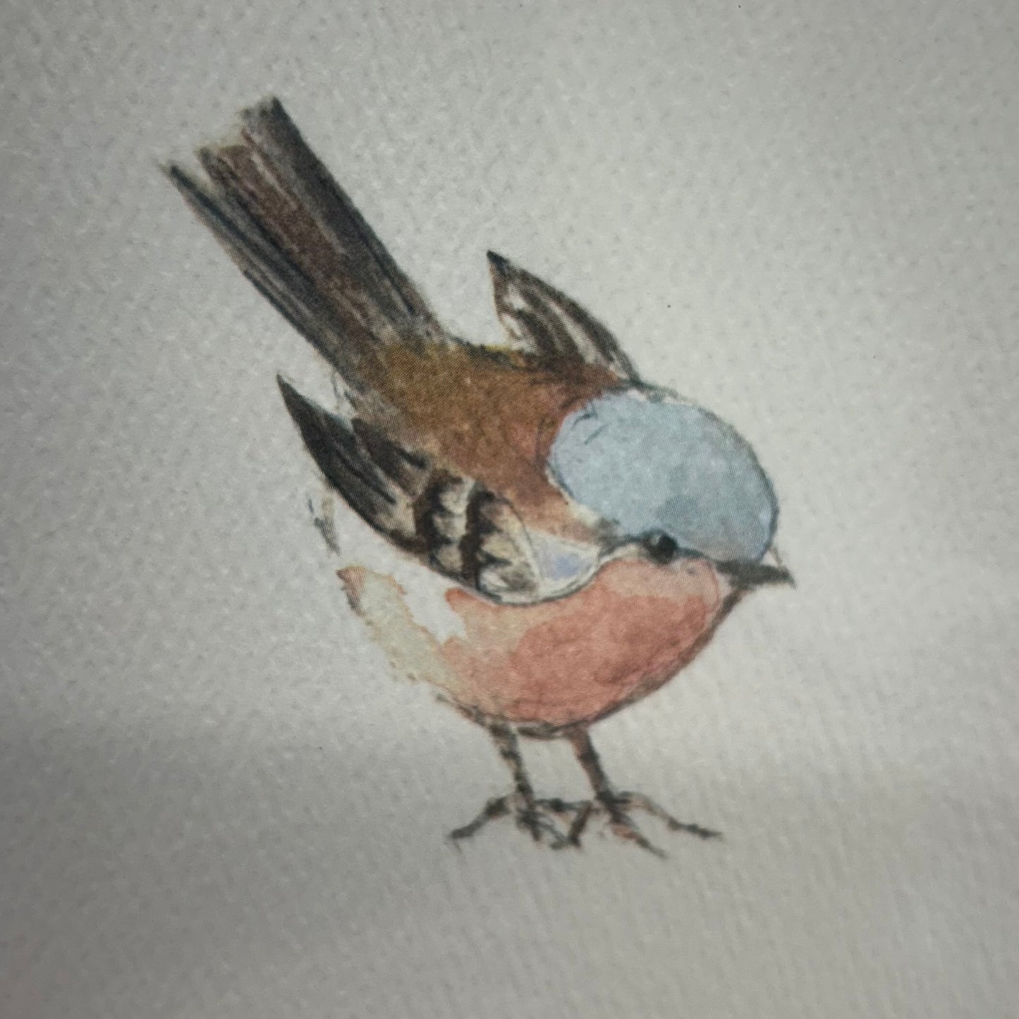 Hogben Cards