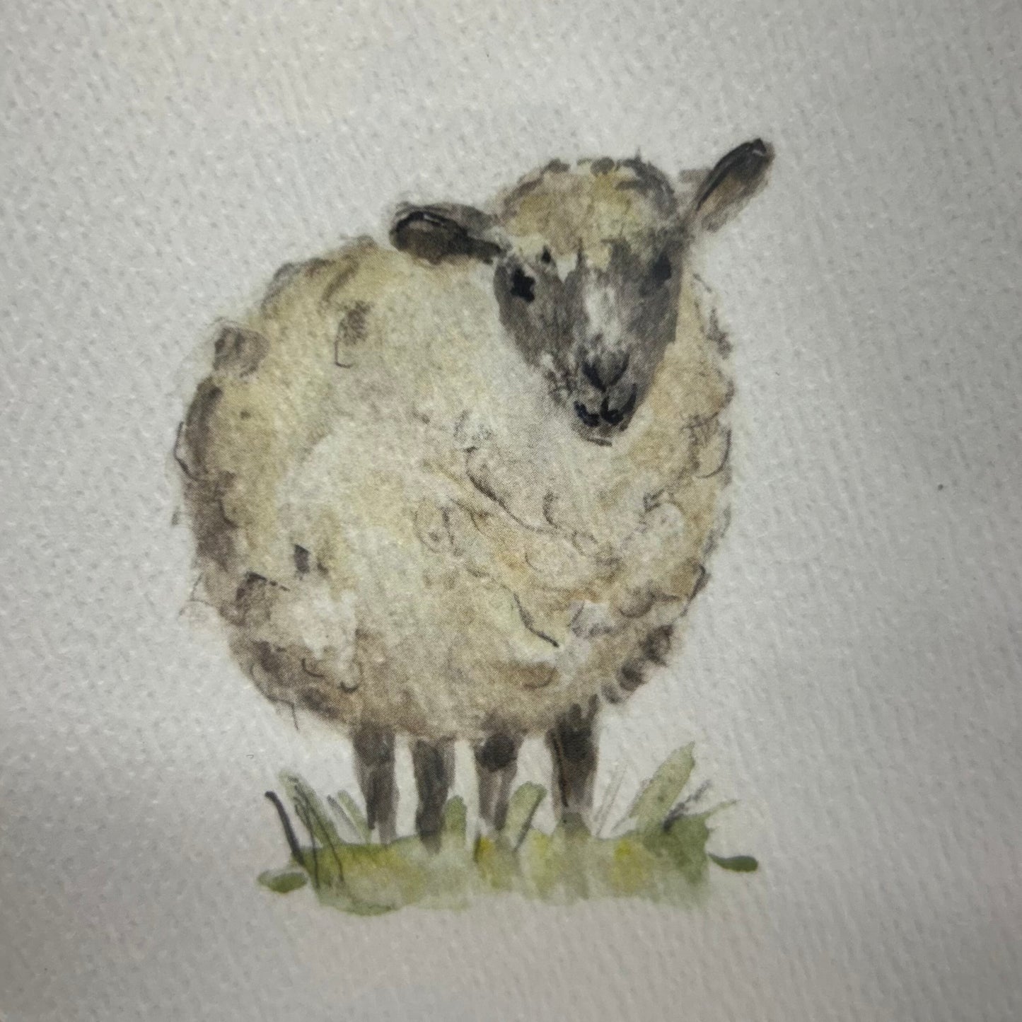 Hogben Cards