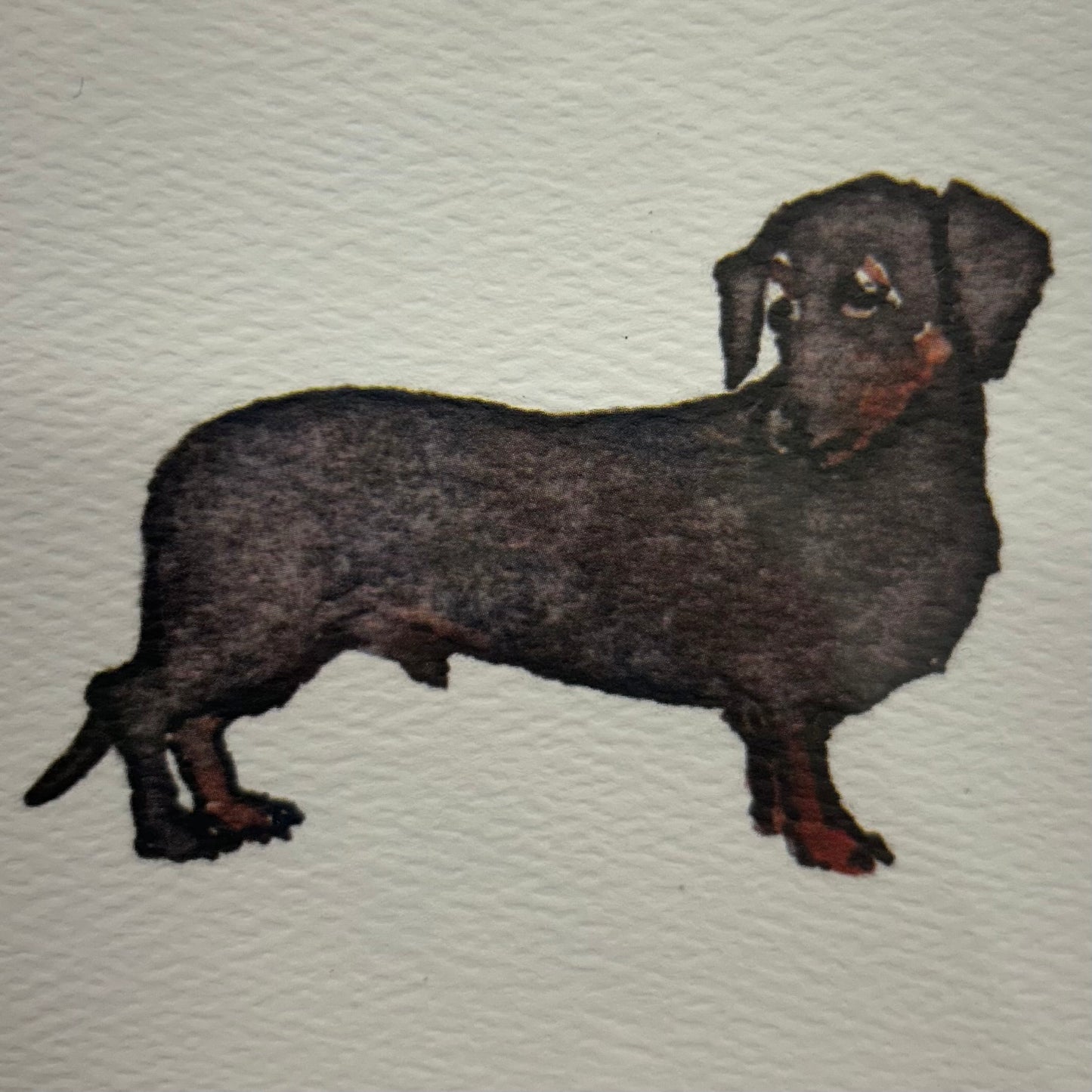 Hogben Cards