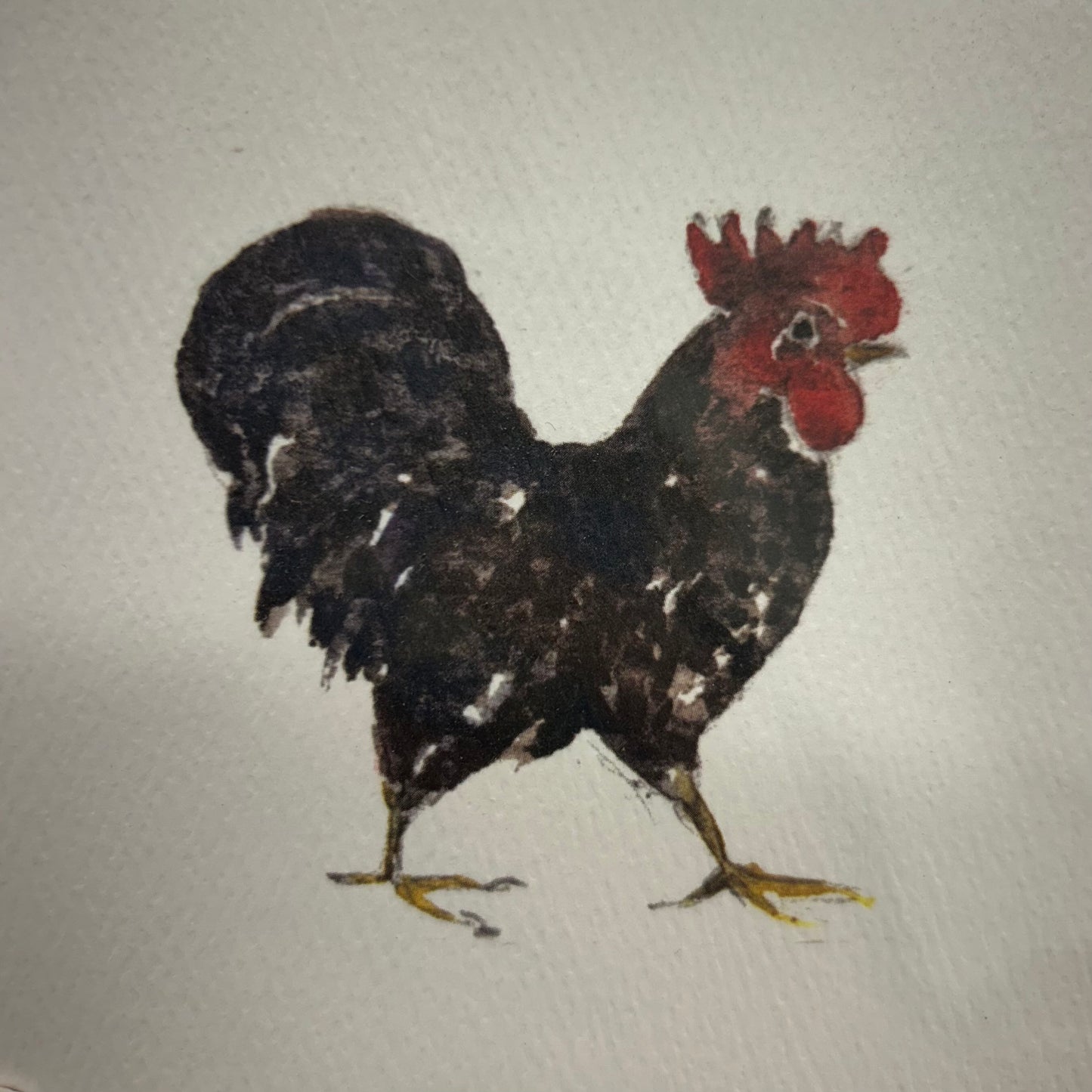 Hogben Cards