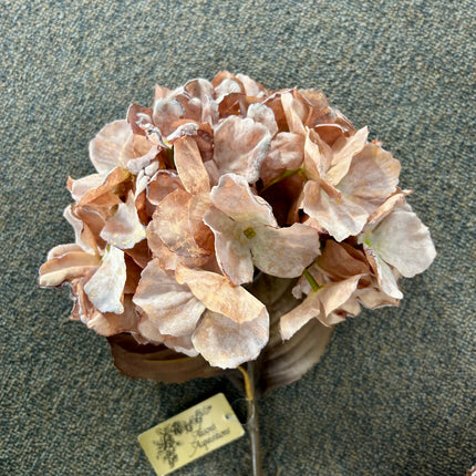 AA - Fall Hydrangea - Blush