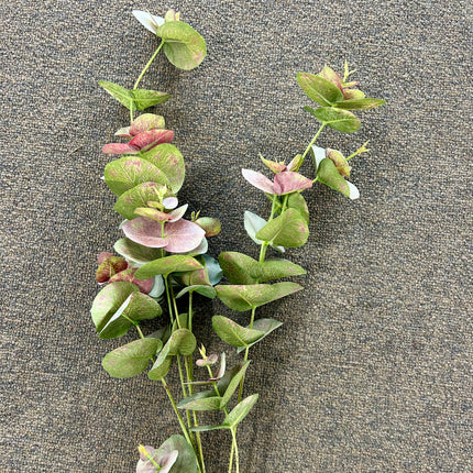 AA - Eucalyptus Spray - Tall