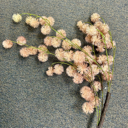 AA - Weeping Chesnut - Blush