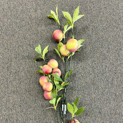 AA - Nectarine Branch