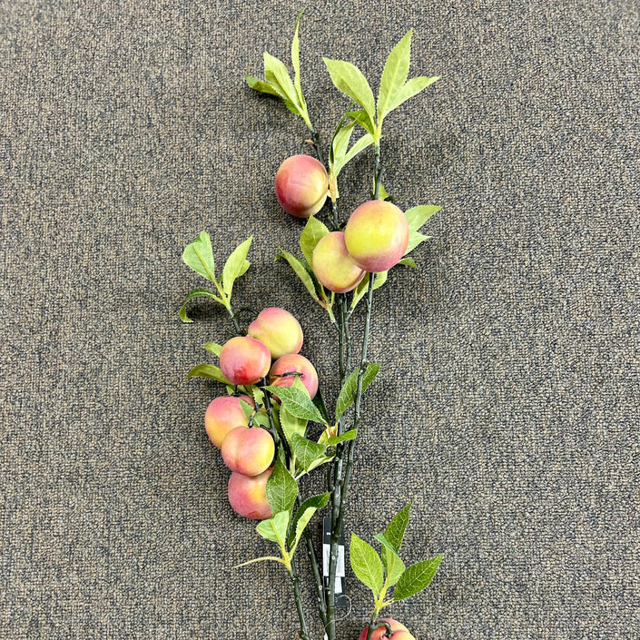AA - Nectarine Branch