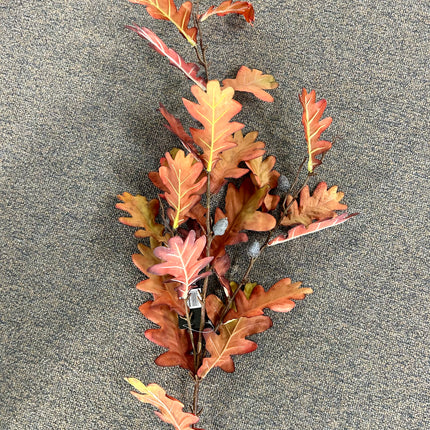 AA - Tall Autumn Oak