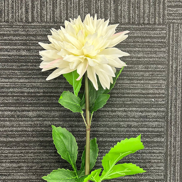 AA - Tall Dahlia