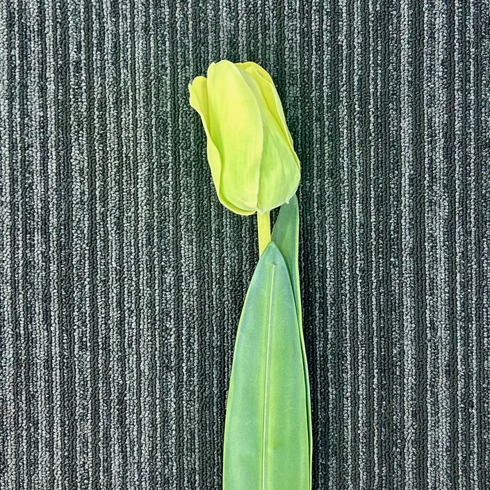 AA - Spring Tulip
