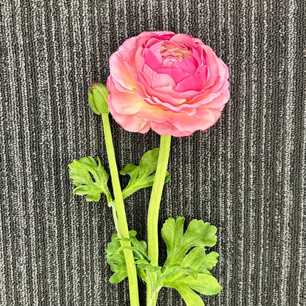 AA - Ranunculus with Bud