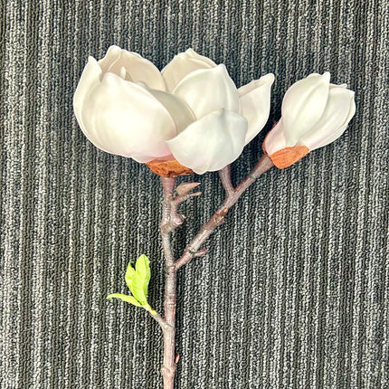 AA - Tree Magnolia Spray