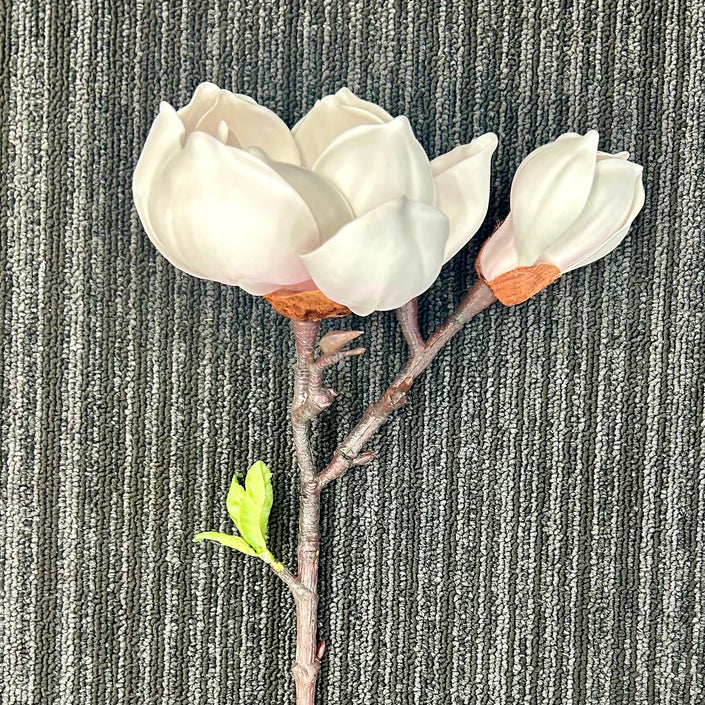 AA - Tree Magnolia Spray